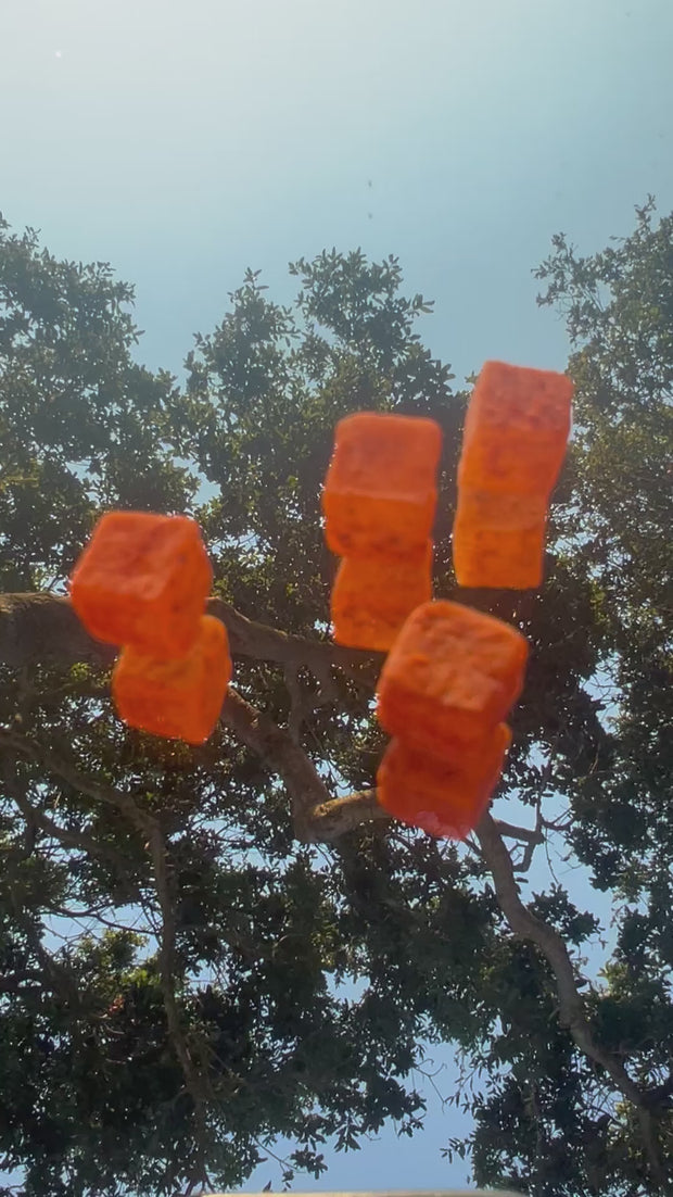 Chews in a tree being picked.MOV